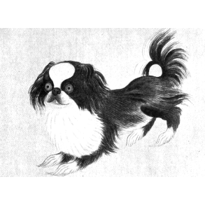 Hunde til andet end jagt