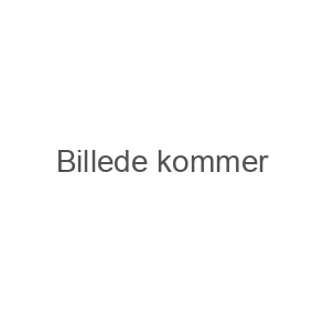 Bøger af Lasse Sørensen