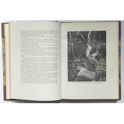 Over Afrikas Jungler i Flyvemasnkine