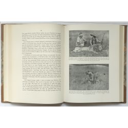 Lver - Eventyrlige Oplevelser i Afrika