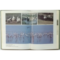 The Wildlife Parks of Africa