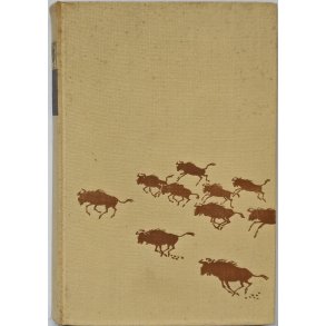 Grosswild im Etoschaland - Erlebnisse mit Tieren in Sdwestafrika