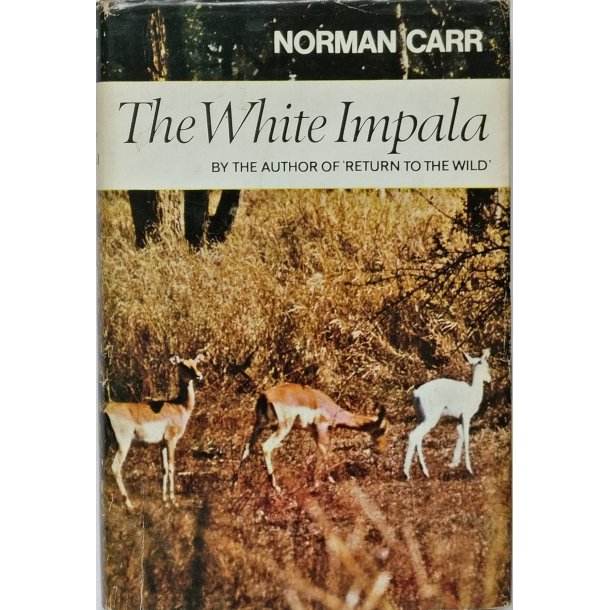 The White Impala