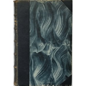 Blandt Dvrge og Gorillaer