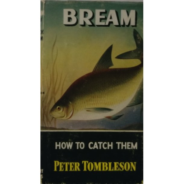 Bream: How to Catch Them