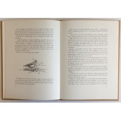 Lystfiskernes paradis - Frerne