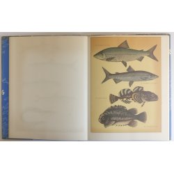 Scandinavian Fishing Year Book