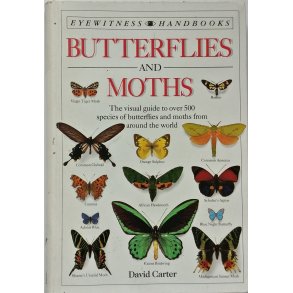 Butterflies and Moths