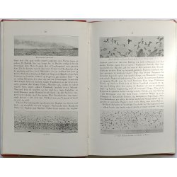 Fugleriget i Vesterhavet