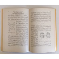 Krankenheiten des Wildes