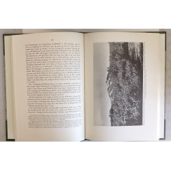 Fra demark til Storskove