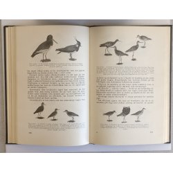 Hvad enhver jger br vide (1951-udgaven)