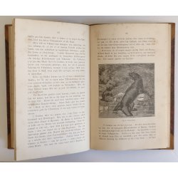 Danske Vildtarter - med Tillg om Smaaafuglene