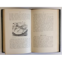 Jagthusholdningen (halvlderindb.)