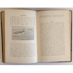 Danske Vildtarter - med Tillg om Smaaafuglene