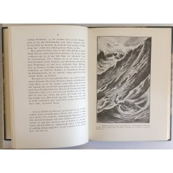 Liv og kamp - Dyreiagttagelser