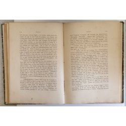 Storvildet i Jylland