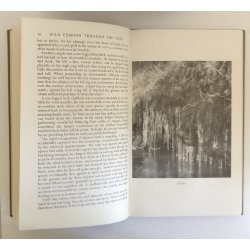 Wild Exmoor Through the Year