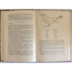 Hvad enhver jger br vide (3. oplag 1951)