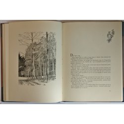 Trend - vor konges jagtrevir