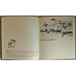 rets ansigt (helbind)