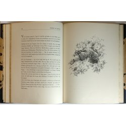 Morten og Mikkel (indb.)