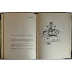 Morten og Mikkel (1. udg., indb.)