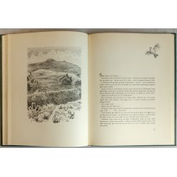 Trend - vor konges jagtrevir