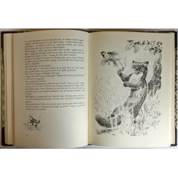 Rold (1. udg., indb.)