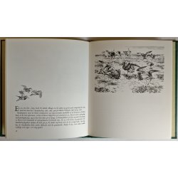 Udenfor alfarvej (indb.)