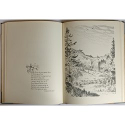 Rold (1. udg., indb.)