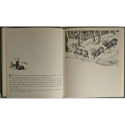 Udenfor alfarvej (1. udg. indb.)