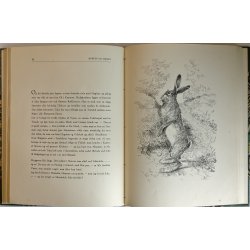 Raavildt &amp; Morten og Mikkel