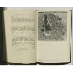 Junglens vildskab (jaguarjagt)