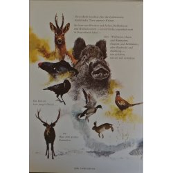 ... und jeder Fuchs hat seinen Bau 