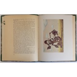 Under Sydkorset - blandt jgere, slanger, gauchos og biskummere