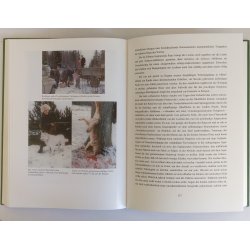 "Kivi kotti" - auf Pirschpfaden in Estland