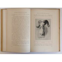 Jagdfahrten in Nordamerika