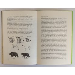 Jagd in Kanada und Alaska