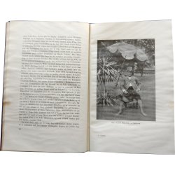 Ceylon - 25 Aars Oplevelser og Rejser i Tropernes Paradis