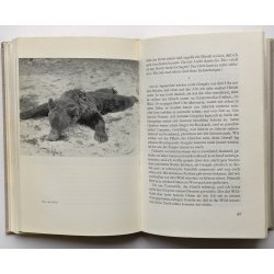 Auf Prsch und Ansitz