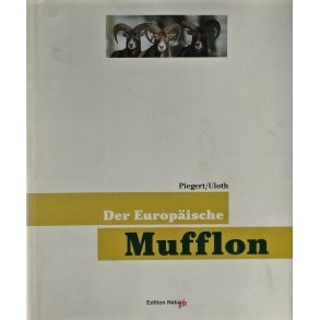 Der Europische Mufflon