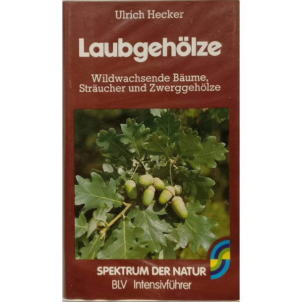 Laubgehlze