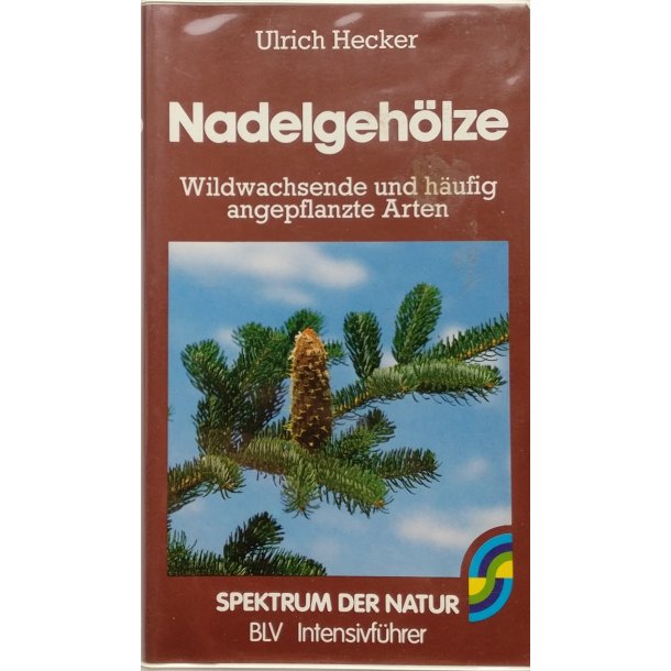 Nadelgehlze