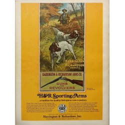 Guns &amp; Ammo 1977