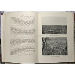 I Afrikas Kler (skade p verste del af ryggen)