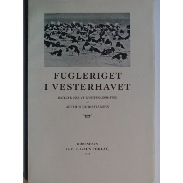 Fugleriget i Vesterhavet