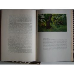 Jger, jagt og vildt verden over