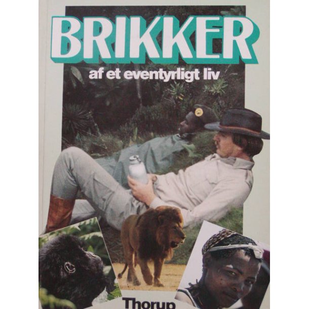 Brikker af et eventyrligt liv