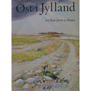 st i Jylland